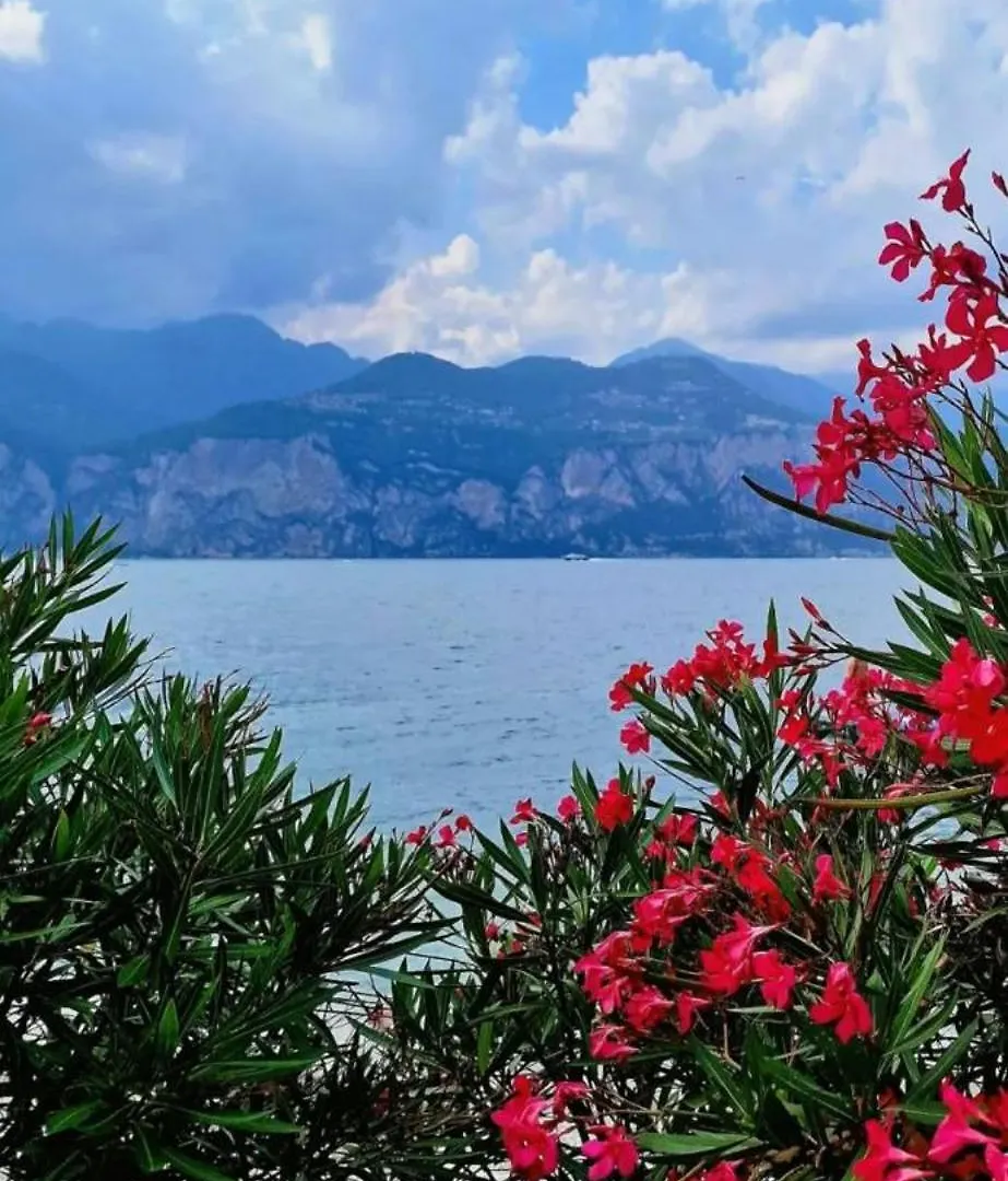 Di Fronte Al Lago Peschiera del Garda